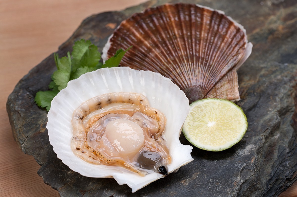 Морские Гребешки на "Мечта Гурмана"