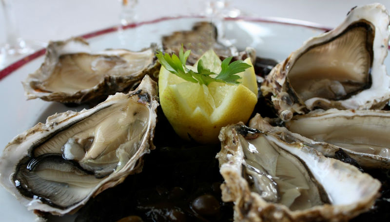 Виды устриц Виды устриц