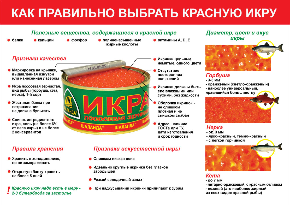 Как правильно выбрать красную икру