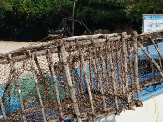 вылов лангустов