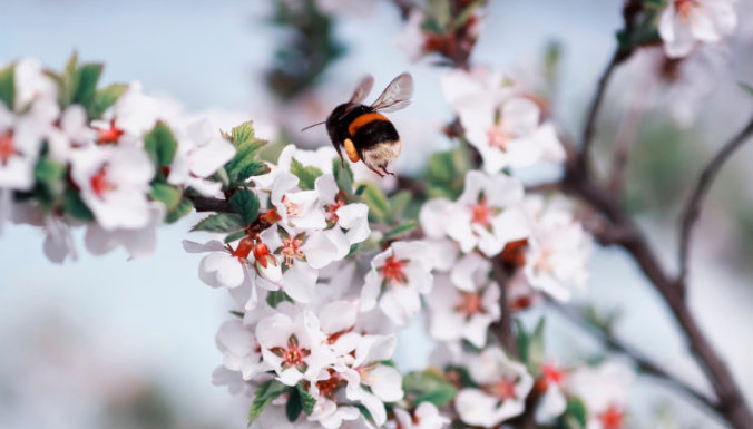 майские праздники 2021