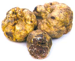 Tartufo - Трюфель на "Мечта Гурмана"