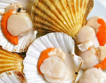 Морской Гребешок