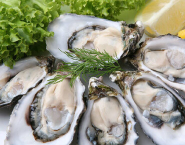 Виды устриц