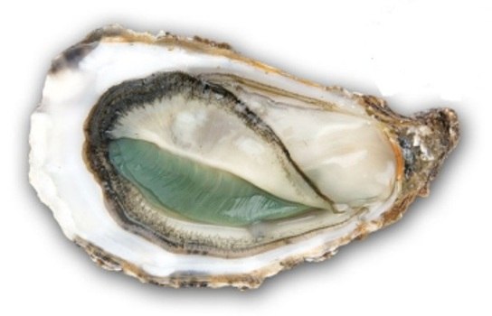 Устрицы Гравет Устрицы Гравет