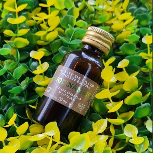 Биодинамическое оливковое масло Пикуаль  (арт. 100030107IERU)