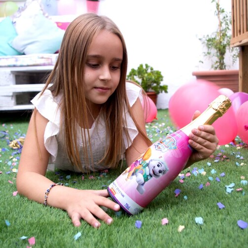 Безалкогольный газированный напиток Щенячий патруль Скай и Эверест  (арт. ESP8228)