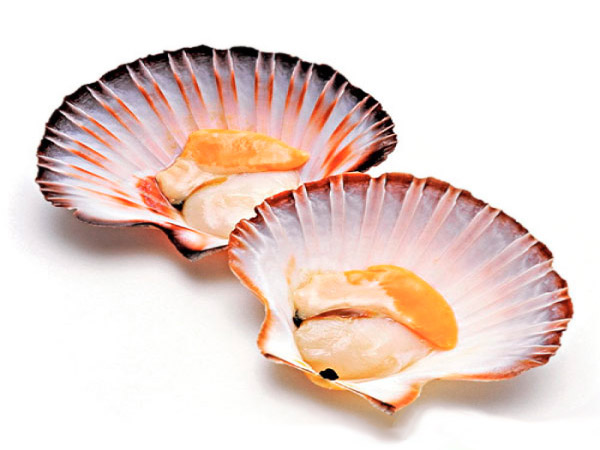 Как готовить гребешки в раковине с икрой?