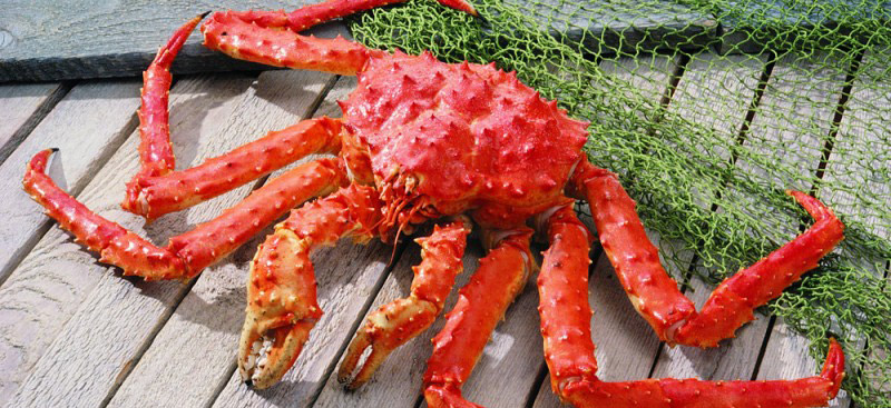 Как хранить живых крабов?