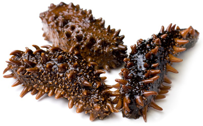 Как едят трепанг и что это такое?