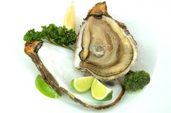 Как определить свежесть устриц и понять что устрица живая?