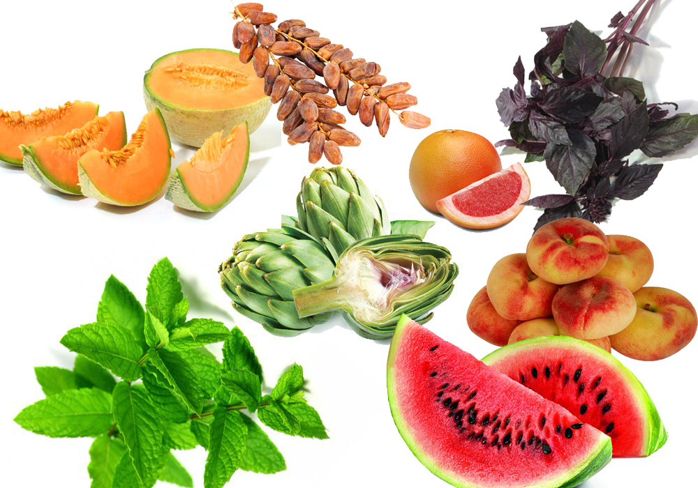 Свежие фрукты, овощи и зелень, съедобные цветы