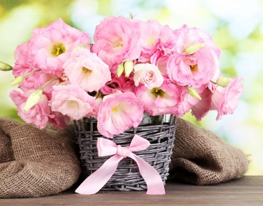 С праздником 8 Марта!