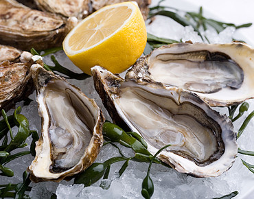 Новые поступления устриц!