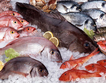 Ура, тропическая рыба!