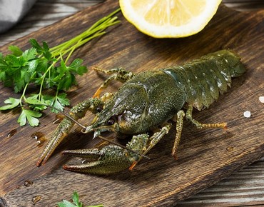 Новинка - живые раки!