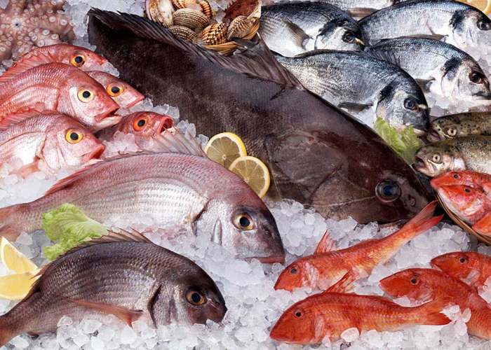 Тропическая рыба на "Мечта Гурмана" Тропическая рыба на "Мечта Гурмана"