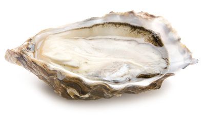 Устрицы Марен Олерон Устрицы Марен Олерон