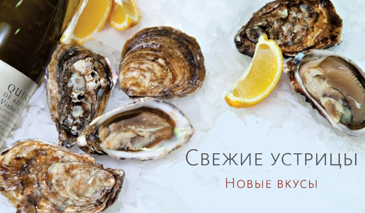 Живые устрицы из Марокко