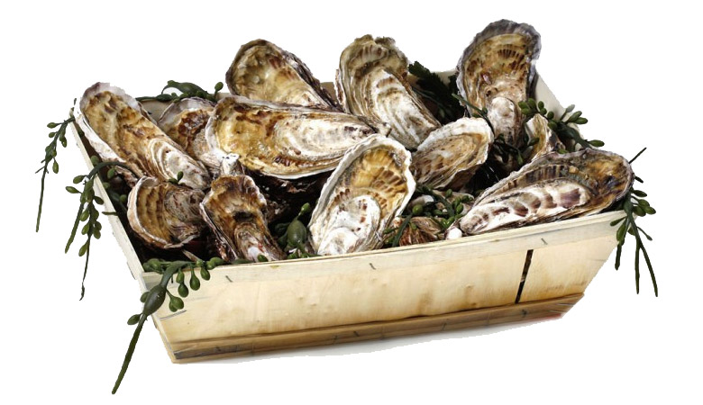 Новый ассортимент устриц на "Мечта Гурмана" Новый ассортимент устриц на "Мечта Гурмана"
